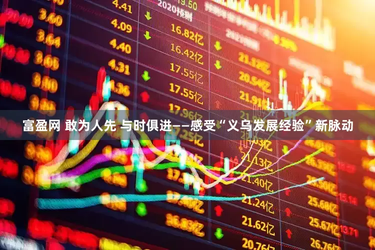 富盈网 敢为人先 与时俱进——感受“义乌发展经验”新脉动